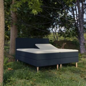 Organic Elevations Seng med Latex + Topmadras i 100% Naturlatex og Bomuldsbetræk Fra Organic Sleep | 7 Zoner - Omega Blå