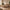 Freja Snedker Sengeramme i Massiv FSC Egetræ og Naturolie