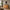 Heimdal Snedker Kommode/Skænk i Massiv FSC Egetræ med 4 Skuffer & 4 Låger med Naturolie på Metalfødder - B172 x H100 x D48 - Leveres Færdigsamlet