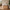 Sif snedker bænk i massivt FSC bøgetræ og naturolie med 2 skuffer - B40 x H45 x L82