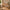 Sif snedker skrivebord med skrivebordshylde i massivt FSC bøgetræ – naturolie B55 x H94 x L126