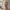 Idun vitrineskab i massiv egetræ – olieret – billede 2