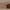 Idun TV-bord bred i massiv egetræ – tabacco – billede 30