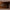 Idun vitrineskab i massiv egetræ – tabacco – billede 34