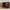 Idun TV-bord med lys bred i massiv egetræ – tabacco – billede 35