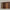 Idun TV-bord bred i massiv egetræ – tabacco – billede 34