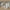 Nanna reol i massiv fyrretræ – hvidmalet RAL 9010 – billede 15