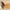 Tyr kommode i massiv egetræ, med glas – billede 26