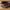 Idun TV-bord med lys bred i massiv egetræ – tabacco – billede 26