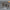 Nanna vitrineskab smal i fyrretræ – grafitmalet & natur fyr – billede 18