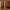 Idun TV-bord bred i massiv egetræ – tabacco – billede 26