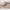 Idun TV-bord bred i massiv egetræ – tabacco – billede 27