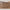 Idun kommode med lys bred i massiv egetræ – tabacco – billede 28