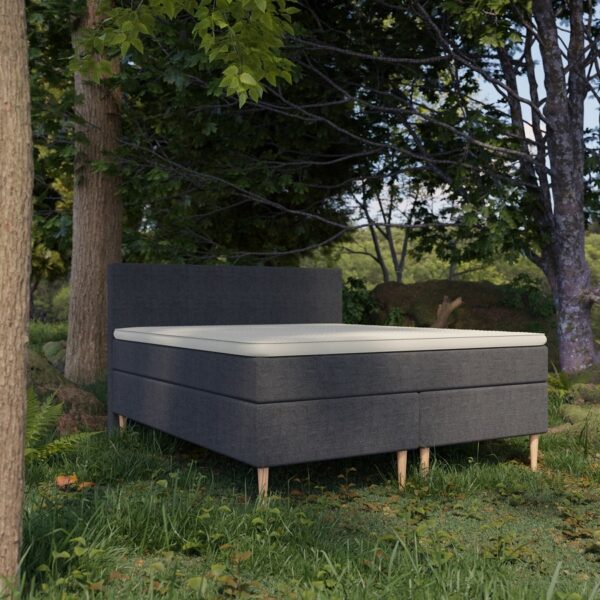Organic Kontinental Seng med 2xPocket + Topmadras i 100% Naturlatex og Bomuldsbetræk Fra Organic Sleep | 7 Zoner - Omega Antrasit